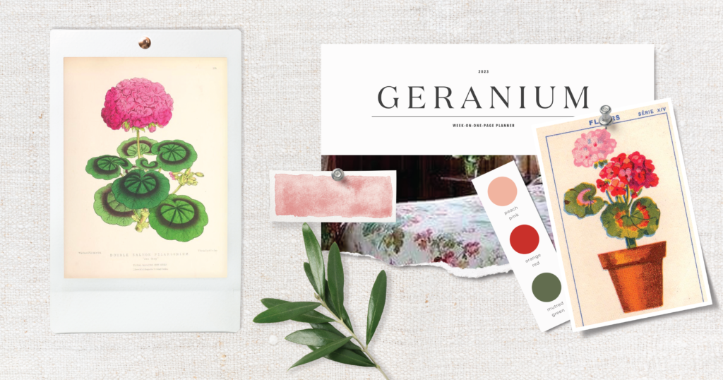 Storyboard for the Geraniums Weekly Planner Cover